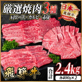 【ふるさと納税】飛騨牛　厳選焼肉3種(肩ロース・カルビ・赤身)　計2.4kg(各800g) 黒毛和牛　小分け【配送不可地域：離島】【1669124】