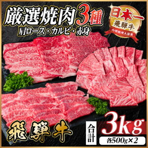 yӂ邳Ɣ[Łzˋ@Iē3([XEJrEԐg)@v3kg(e500g×2)@јa@yzsnFzy1669125z