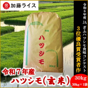 yӂ邳Ɣ[Łzߘa7NY 򕌌HsYncV 30kg(30kg×1)y1669152z