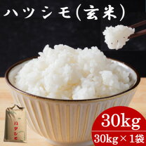 楽天市場】岐阜県 ハツシモ 30kgの通販