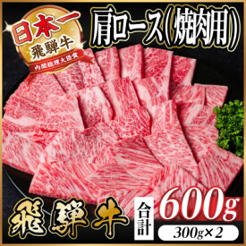 【ふるさと納税】飛騨牛 厳選肩ロース(焼肉・BBQ用)　600g(300g×2)　黒毛和牛　小分け【配送不可地域：離島】【1674158】