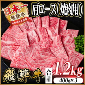 【ふるさと納税】飛騨牛　厳選肩ロース(焼肉・BBQ用) 計1.2kg(400g×3)　黒毛和牛　小分け【配送不可地域：離島】【1674166】