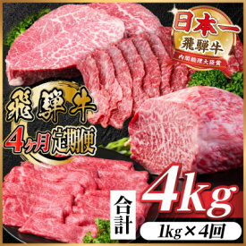【ふるさと納税】【毎月定期便】飛騨牛 赤身定期便 計4kg 焼肉 BBQ すき焼き しゃぶしゃぶ ブロック全4回【配送不可地域：離島】【4072655】