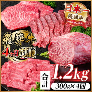 yӂ邳Ɣ[Łzyցzˋ Ԑg v1.2kg ē BBQ Ă Ԃ ubNS4yzsnFzy4072753z