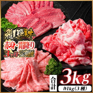 yӂ邳Ɣ[Łzyցzˋ ԐgE~ v3kg@ē BBQ Ă ԂԑS3yzsnFzy4074985z