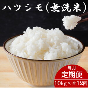 yӂ邳Ɣ[Łzyցz򕌌YncV() 10kgS12yzsnFzy4076358z