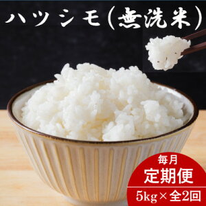 yӂ邳Ɣ[Łzyցz򕌌YncV() 5kgS2yzsnFzy4076366z