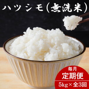 yӂ邳Ɣ[Łzyցz򕌌YncV() 5kgS3yzsnFzy4076367z