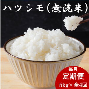 yӂ邳Ɣ[Łzyցz򕌌YncV() 5kgS4yzsnFzy4076368z