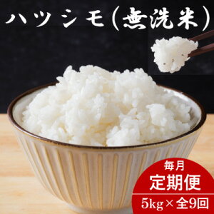 yӂ邳Ɣ[Łzyցz򕌌YncV() 5kgS9yzsnFzy4076379z