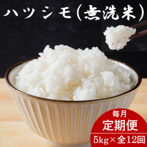 yӂ邳Ɣ[Łzyցz򕌌YncV() 5kgS12yzsnFzy4076380z