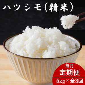 yӂ邳Ɣ[Łzyցz򕌌YncV() 5kgS3yzsnFzy4076402z