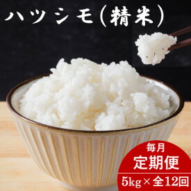 【ふるさと納税】【毎月定期便】岐阜県産ハツシモ(精米) 5kg全12回【配送不可地域：離島】【4076409】