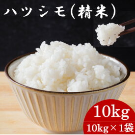 【ふるさと納税】ハツシモ(精米)10kg【選べるお届け回数/1回・2回・3回・4回・5回・6回・9回・12回定期便】【配送不可地域：離島】【G1657395】