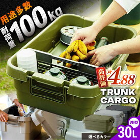 【ふるさと納税】【選べる3色】トランクカーゴ ロータイプM 1個 / キャンプ ボックス 収納 ケース 収納ケース 収納ボックス バーベキュー BBQ 道具箱 レジャー ギア キャンプ用品 防災 アウトドア /恵那市/東谷株式会社[AUAD034]