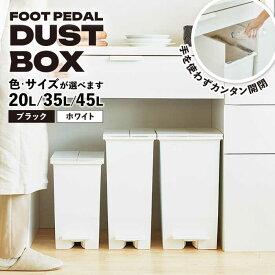【ふるさと納税】【選べるサイズ／カラー】コンパクト ペダルダストボックスス / ゴミ箱 ごみ箱 ダストボックス コンパクト キッチン リビング 分別 シンプル 防臭 スリム おしゃれ インテリア 人気 おすすめ 岐阜県 / 恵那市 / 東谷株式会社 明智流通センター [AUAD091]