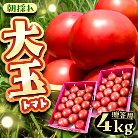 【ふるさと納税】【2週間以内に発送】 大玉トマト 4kg お取り寄せ 産地直送 とまと トマト 野菜 やさい 岐阜市産 恵那市産 /恵那市/クリエイティブファーマーズ[AUAH013]