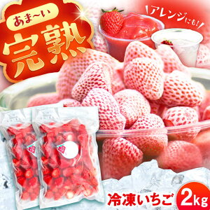 yӂ邳Ɣ[Łzys\zy2026N1{菇zⓀ 2kg /   C`S Ⓚ ⓀC`S Ⓚ / bߎs NGCeBut@[}[Y[AUAH024]