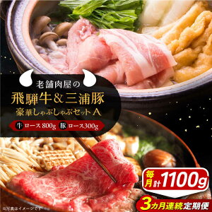yӂ邳Ɣ[Łzy3ցz  ˋ[X800g OY؃[X300g ؂ԂԃZbgA e1pbN a Y ~  ɂ  Y a Yn p Mtg uh