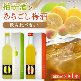【ふるさと納税】女城主 柚子酒と梅酒（各500ml）セット / 果実酒 ゆず酒 飲み比べ お酒 お酒 地酒 銘酒 お取り寄せ 直送 /恵那市/岩村醸造[AUAK001]