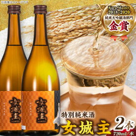 【ふるさと納税】【カーボンオフセット対象】女城主 特別純米酒（720ml×2本セット）/ 特別純米酒 日本酒 女城主 地酒 銘酒 清酒 高級酒 アルコール ひだほまれ 辛口 辛口純米酒 冷酒 セット お取り寄せ 贈答 ギフト お祝い 人気 おすすめ 岐阜県 /恵那市/岩村醸造 [AUAK007]
