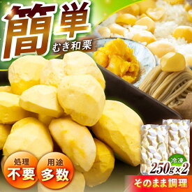 【ふるさと納税】冷凍むき栗「日本栗」 計500g（250g×2） / 栗 冷凍 生栗 くり むき栗 剥き栗 マロン 低温熟成 日本栗 国産 岐阜県 恵那市 産地直送 お取り寄せ /恵那市/えな笠置山栗園[AUAV005]