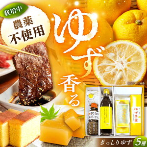 yӂ邳Ɣ[Łẑ䂸 䂸Zbg /|| |Y ۂ| ۂ  ^ ē̂ JXe aَq َq   fU[g XC[c Mq 䂸  /b