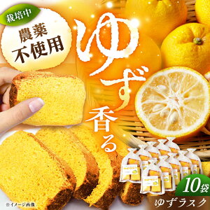 yӂ邳Ɣ[Łz䂸XN 10 / XN mَq p Mq 䂸 َq   fU[g XC[c Mq 䂸  v[g /bߎs/䂸g[AUAW011]