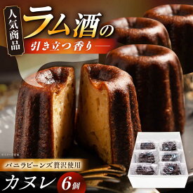 【ふるさと納税】カヌレ 6個入り / スイーツ お菓子 カヌレ 焼き菓子 和菓子 お菓子 おかし おやつ デザート スイーツ お取り寄せ /恵那市/かめや菓子舗[AUAZ011]