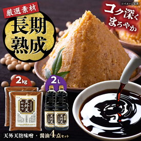 【ふるさと納税】天外天しょうゆ、味噌セット317 / 調味料 醤油 みそ 大豆 熟成 / 恵那市 / 木曽路物産[AUBC001]