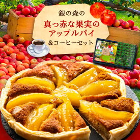 【ふるさと納税】アップルパイと銀の森コーヒーセット / りんご リンゴ 林檎 アップルパイ コーヒー 珈琲 セット 贈答 洋菓子 スイーツ デザート おやつ お菓子 お取り寄せ 直送 /恵那市/銀の森[AUBG020]