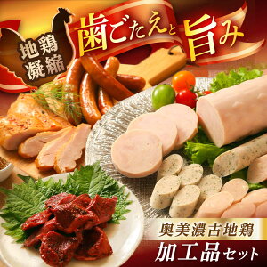 �y�ӂ邳�Ɣ[�Łz�y�X�s�[�h�z���z�����Z�Òn�{B�Z�b�g / �n�{ �{�� �Ƃ�� �� �n�� �E�C���i�[ �p�X�g���~ �\�[�Z�[�W ���� ���� �Z�b�g �l�ߍ��킹 / �b�ߎs / �����H�Y[AUBW006]