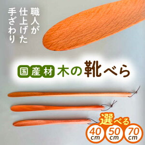 yӂ邳Ɣ[ŁzyIׂTCYz؂̌Cׂ 1(40cm / 50cm / 70cm) / Cx Cׂ ؐ  C CObY CPApi  /bߎs/͂H[[AUCH015]