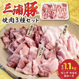 yӂ邳Ɣ[Łz؎OY 1.1kg / ēZbg [X Jr v uh Y |[N uh ɂ   ؓ ԂɂĂ ē o[xL[  򕌌Y b
