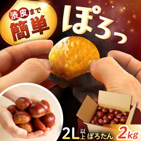 【ふるさと納税】【先行予約 / 10月下旬より順次発送】岐阜県産栗「東美濃ぽろたん」2kg 【季節限定】 / 栗 くり ぽろたん 生栗 大粒 栗きんとん 和菓子 スイーツ デザート 産地直送 お取り寄せ 贈答 ギフト 岐阜県産 恵那市産 /恵那市/東美濃農業協同組合[AUDS001]