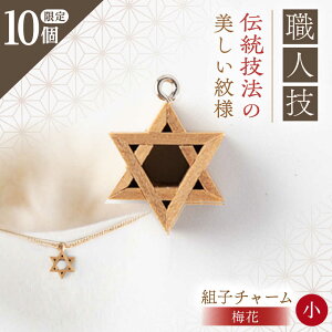 �y�ӂ邳�Ɣ[�Łz�y��s�\��z�y2026�N1����菇�������z�g�q�E�l�����؂̃`���[���i�~�ԁj��1�� / �`���[�� �L�[�z���_�[ �o�b�O �~�� ������� / �b�ߎs / ������X[AUED005]