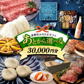 【ふるさと納税】【あとから選べる】 岐阜県恵那市ふるさとギフト 寄附3万円分 飛騨牛 スイーツ キャンプ用品 栗きんとん あとから ギフト 後から選べる返礼品 カタログギフト あとからギフト あとからセレクト [AUFQ003]
