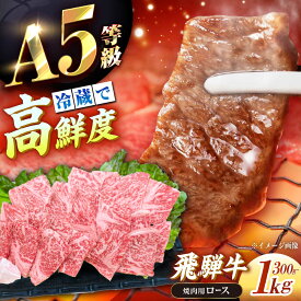 【ふるさと納税】【選べる容量】【チルド発送！】 牛肉 「飛騨牛」 A5等級 ロース 300g～1kg / 肉 お肉 にく牛肉 飛騨牛 和牛 国産和牛 ブランド牛 お取り寄せ ステーキ 焼肉 おすすめ 人気 贈答用 ギフト 焼肉 バーベキュー /恵那市/東美濃農業協同組合[AUFX007]