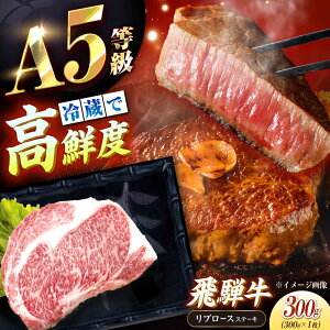 yӂ邳Ɣ[Łzy`hi①jIz  uˋv A5 u[X Xe[Lp 300g /   ɂ ˋ a Ya uh  Xe[L ē  l