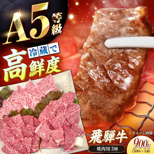 yӂ邳Ɣ[Łzy`hi①jIz  uˋv A5 ēp3퐷I [XEEo e300g /   ɂ a Ya uh  Xe[L ē 