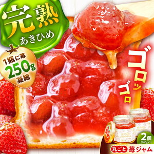 yӂ邳Ɣ[Łzۂ䕂̃SbƃW / W W   Ђ Y C`SW W h{  rl p g[Xg H [Og AW /bߎs/_