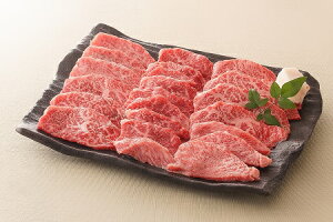 【ふるさと納税】飛騨牛 モモ 焼肉 用 約500g