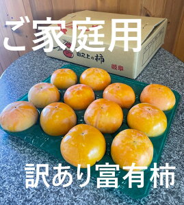 yӂ邳Ɣ[Łzyr[Ly[Ώۏizy󂠂zystz ؉  ƒp xL`  3.3kg | ` ʕ ʎ t[c ZΎs 򕌌 ①  y2025N12{`12