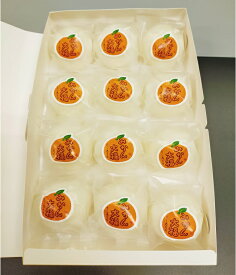 【ふるさと納税】みかん大福　12個 ｜おかしの乃むら お菓子 菓子 スイーツ 和菓子 和スイーツ 手作り みかん 大福 岐阜県 岐阜 美濃加茂市 美濃加茂 みのかも 送料無料