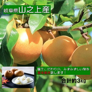 yӂ邳Ɣ[Łzyr[Ly[Ώۏizystzy ʌ z؉    i 3kg j3ʁ`8 i  ܂ | K L H V ʕ t[c ʎ Z