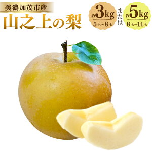 �y�ӂ邳�Ɣ[�Łz�s��s�\��t �R�V��̗� �i �i��͂��܂��� �j��3kg�i 5�`8�� �j�^��5kg�i8�`14�ʁj���I�ׂ���e�ʁ� ���Ð� �K�� �L�� �����Â� �H�̂قق��� �Ñ� �Ȃ� �t���[�c �① ��