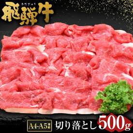 【ふるさと納税】＼行列の絶えない人気精肉店が厳選／ 飛騨牛 切り落とし 500g A5 A4 等級 肉のかた山 岐阜県 が誇る 国産 牛肉 ブランド牛 黒毛 和牛 の ロース 冷凍 でお届け 焼き肉 すき焼き しゃぶしゃぶ 炒め物 に最適 肉ギフト ギフト M11S66