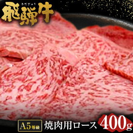 【ふるさと納税】 飛騨牛 A5 等級 焼肉 用 （ ロース 400g） | 肉のかた山 牛肉 送料無料 M22S38