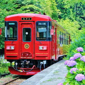 【ふるさと納税】 観光列車 「ながら」 スイーツ プラン 予約乗車券（シングル）｜ 観光 予約 券 1名様 長良川鉄道 長良川 鉄道 ローカル列車 和菓子 洋菓子 美濃太田駅 郡上八幡駅 鮎号 岐阜県 美濃加茂市 送料無料