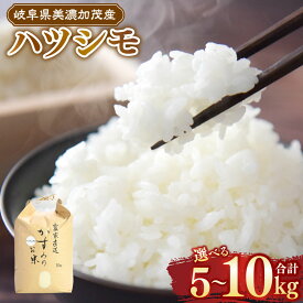 【ふるさと納税】【先行予約】令和8年産 お米マイスターが提供 冷めても美味しい 美濃加茂産 ハツシモ ＜選べる内容量＞ 5kg×1袋 / 10kg×1袋 春見ライス 米 コメ 白米 ライス 国産 国産米 岐阜県 美濃加茂市 常温 送料無料 【2026年11月下旬-2027年7月下旬まで発送予定】